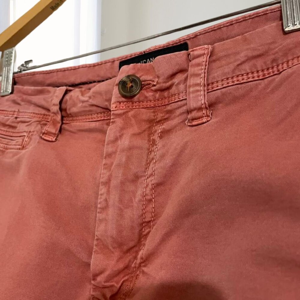2 for $20 American Eagle Extreme Flex Mens Shorts Size 30 Stretch Comfort Casual - Picture 6 of 16